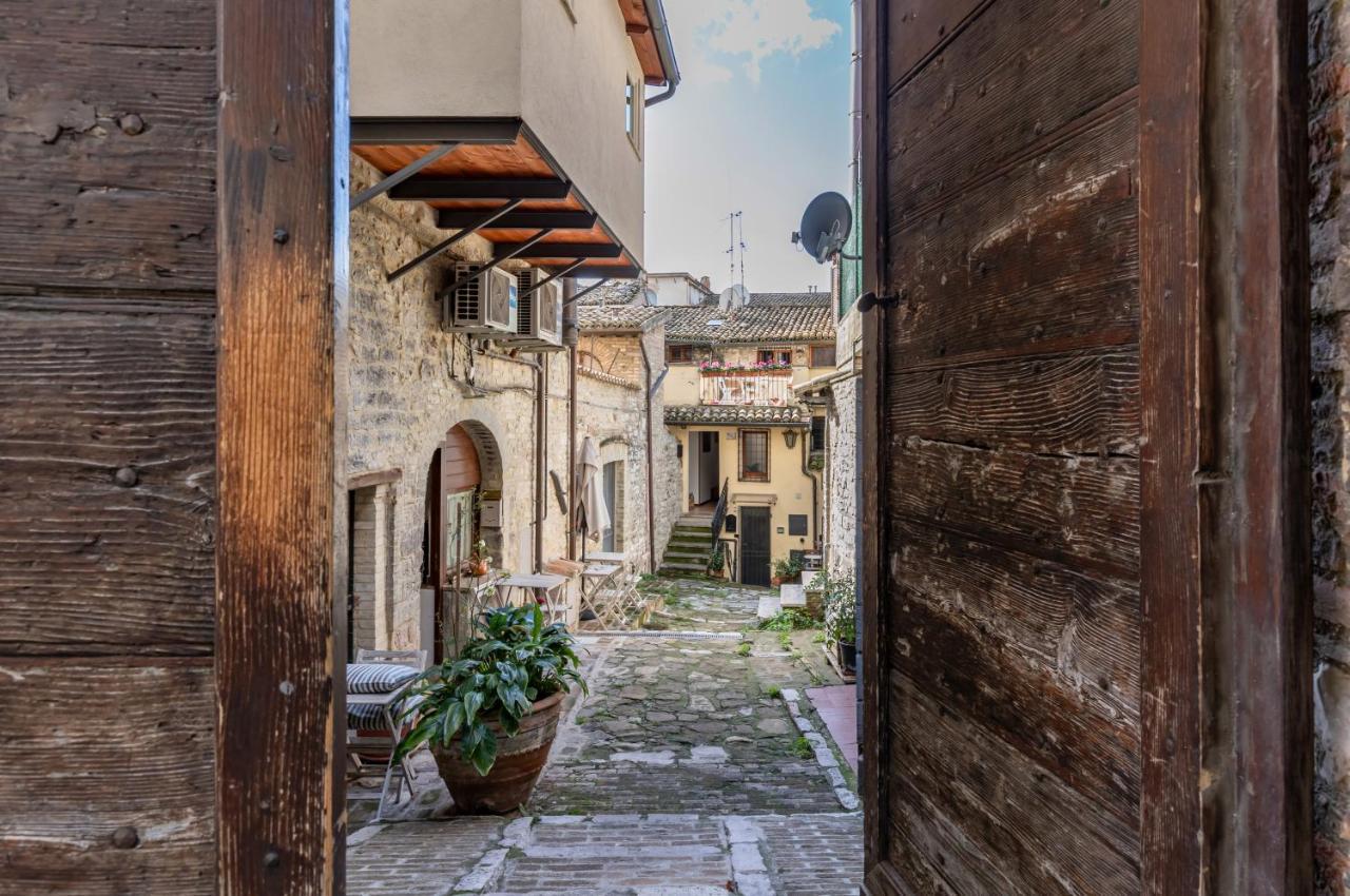 Le Finestre Sul Corso Roomy With Terrace *